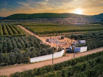 Parcela en Venta en Parcela en Fundo Los Olivos de Quepo