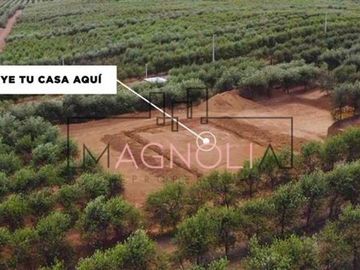 Parcela en Venta en Parcela en Fundo Los Olivos de Quepo
