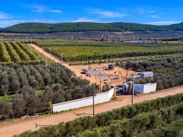 Parcela en Venta en Parcela en Fundo Los Olivos de Quepo