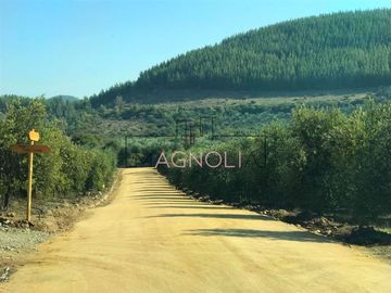 Parcela en Venta en Parcela en Fundo Los Olivos de Quepo