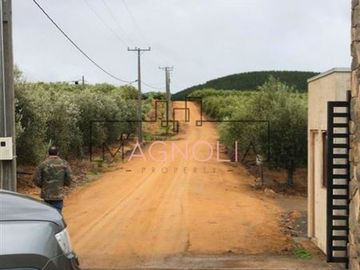 Parcela en Venta en Parcela en Fundo Los Olivos de Quepo