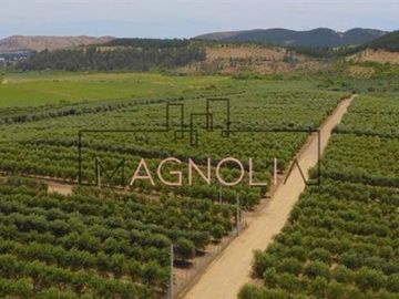 Parcela en Venta en Parcela en Fundo Los Olivos de Quepo