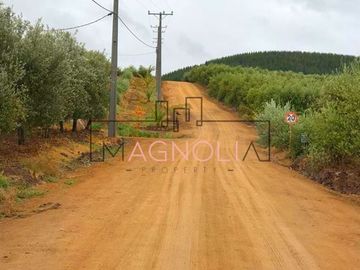 Parcela en Venta en Parcela en Fundo Los Olivos de Quepo