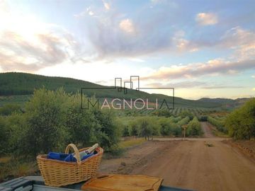 Parcela en Venta en Parcela en Fundo Los Olivos de Quepo