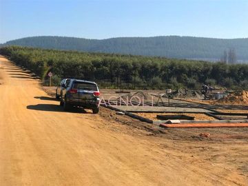 Parcela en Venta en Parcela en Fundo Los Olivos de Quepo
