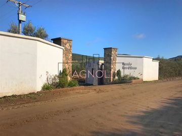 Parcela en Venta en Parcela en Fundo Los Olivos de Quepo