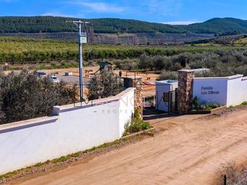 Parcela en Venta en Parcela en Fundo Los Olivos de Quepo