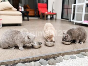Rumah siap huni....semi furnish rapi bagus di Villa Melati.Mas