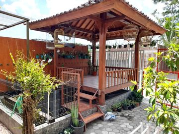 Guesthouse Apik dekat Kampung Flory Tlogoadi