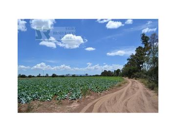Terreno para desarrollo Industrial o habitacional en San Luis Potosi, Jaralito