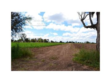 Terreno para desarrollo Industrial o habitacional en San Luis Potosi, Jaralito