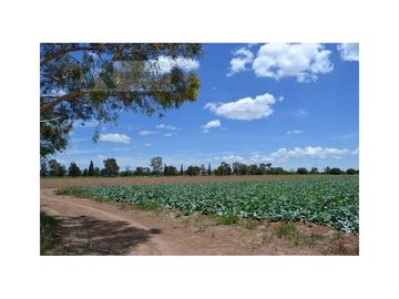 Terreno para desarrollo Industrial o habitacional en San Luis Potosi, Jaralito