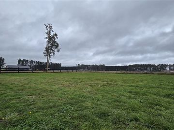 Casa en arriendo de 4 dorm. en Frutillar