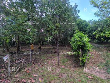 lote en venta en corregimiento caucheras. Cod V68208