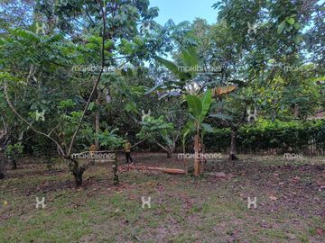 lote en venta en corregimiento caucheras. Cod V68208
