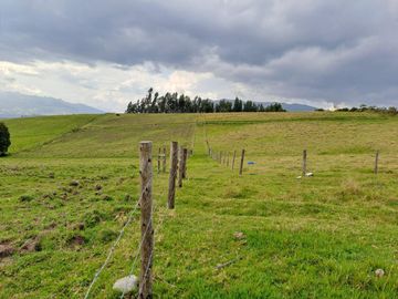LINDO TERRENO DE 5 HAS EN VENTA SECTOR CARIACU - CAYAMBE