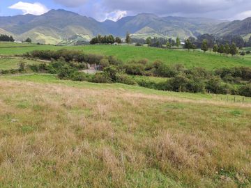 LINDO TERRENO DE 5 HAS EN VENTA SECTOR CARIACU - CAYAMBE