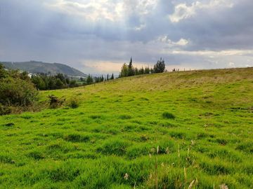 LINDO TERRENO DE 5 HAS EN VENTA SECTOR CARIACU - CAYAMBE