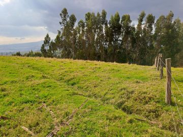 LINDO TERRENO DE 5 HAS EN VENTA SECTOR CARIACU - CAYAMBE