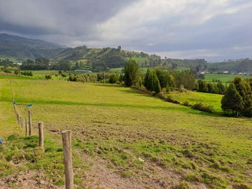 LINDO TERRENO DE 5 HAS EN VENTA SECTOR CARIACU - CAYAMBE