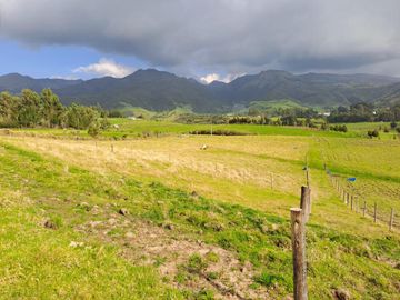 LINDO TERRENO DE 5 HAS EN VENTA SECTOR CARIACU - CAYAMBE