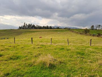 LINDO TERRENO DE 5 HAS EN VENTA SECTOR CARIACU - CAYAMBE