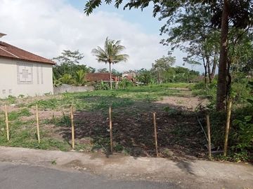 Tanah Pekarangan Dijual BU di Sokomarto, Turi: Aset Apik