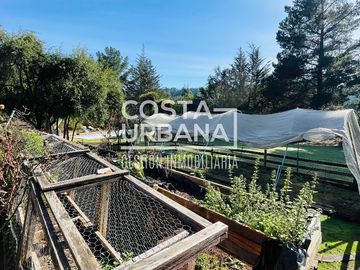 Encantadora parcela con casa en Melosilla