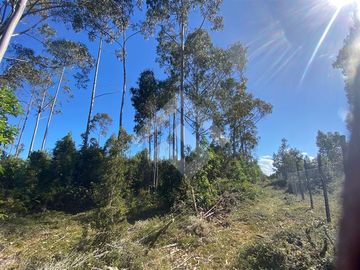 Vendemos Parcelas con rol propio sector de Colaco, Calbuco