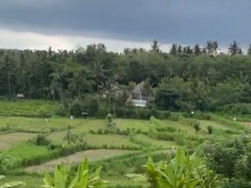 TANAH 14 ARE SHM DI TUMBU KARANGASEM