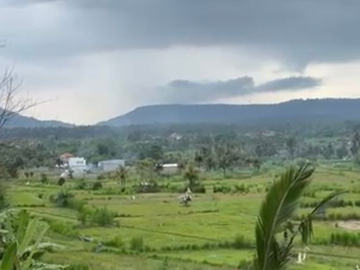 TANAH 14 ARE SHM DI TUMBU KARANGASEM