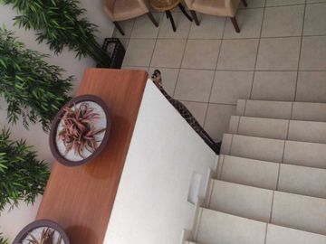 Casa en venta en el Periférico Puebla a 10 minutos de La Vista de 300 m2 de terreno