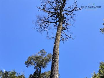 Parcela en Venta en Condominio Parque Bosques Inundados