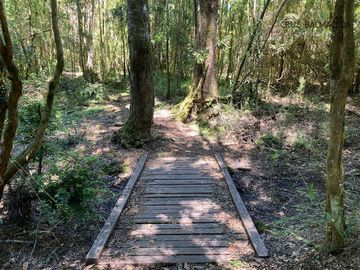 Parcela en Venta en Condominio Parque Bosques Inundados