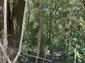 Parcela en Venta en Condominio Parque Bosques Inundados