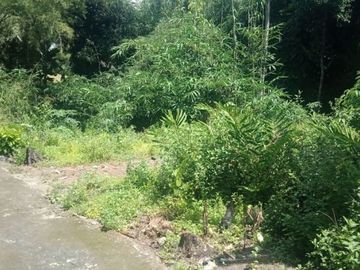 Tanah Pekarangan Murah di Margoagung, Seyegan
