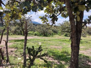 RANCHO LA ERMITA ENTRE SAN MIGUEL DE ALLENDE Y GUANAJUATO