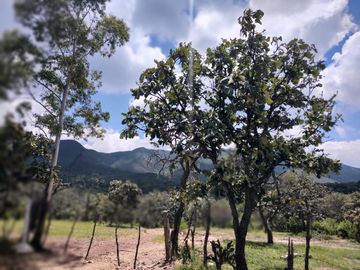 RANCHO LA ERMITA ENTRE SAN MIGUEL DE ALLENDE Y GUANAJUATO