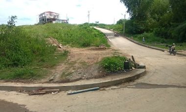 218 Sqm CORNER LOT for Sale in Greenwoods Subdivision near Talamban Cebu City
