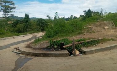 218 Sqm CORNER LOT for Sale in Greenwoods Subdivision near Talamban Cebu City