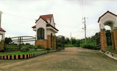 218 Sqm CORNER LOT for Sale in Greenwoods Subdivision near Talamban Cebu City