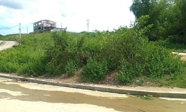 218 Sqm CORNER LOT for Sale in Greenwoods Subdivision near Talamban Cebu City