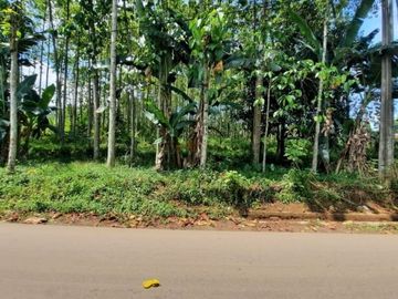 Dijual Tanah Strategis di Karang Tengah, Bogor