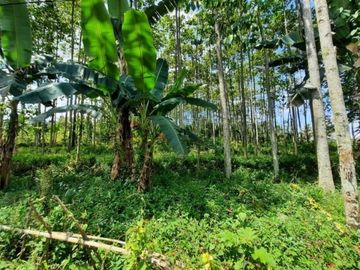 Dijual Tanah Strategis di Karang Tengah, Bogor