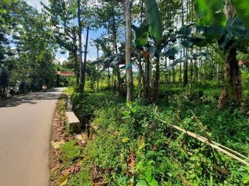 Dijual Tanah Strategis di Karang Tengah, Bogor