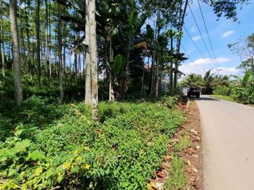 Dijual Tanah Strategis di Karang Tengah, Bogor
