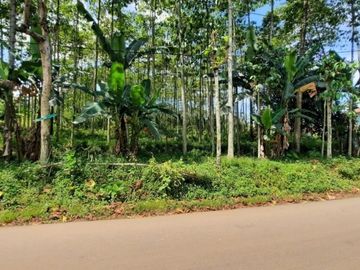 Dijual Tanah Strategis di Karang Tengah, Bogor