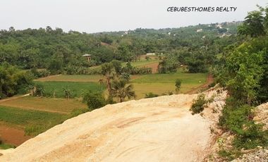 Very Affordable 120 Sqm Lot for Sale in Consolacion Cebu near SM Lacion