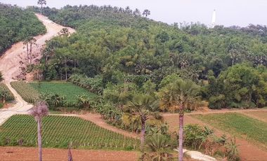 Very Affordable 120 Sqm Lot for Sale in Consolacion Cebu near SM Lacion