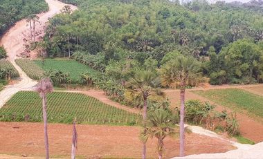 Very Affordable 120 Sqm Lot for Sale in Consolacion Cebu near SM Lacion